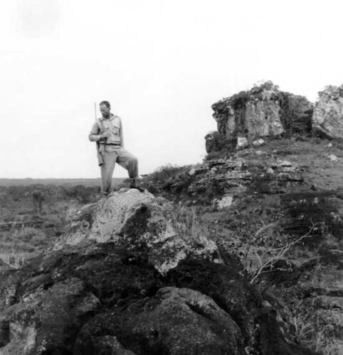 Interactive Map Teaches About Legendary Ethnobotanist